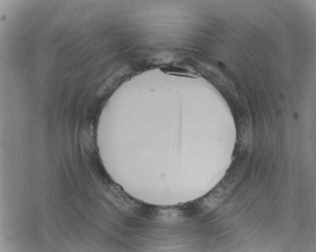 X0000073700376200608311736