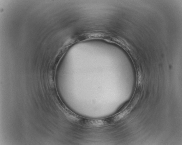 X0000073700377200608311736