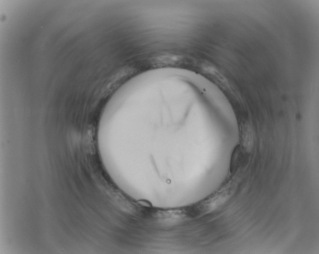 X0000073700378200608311736