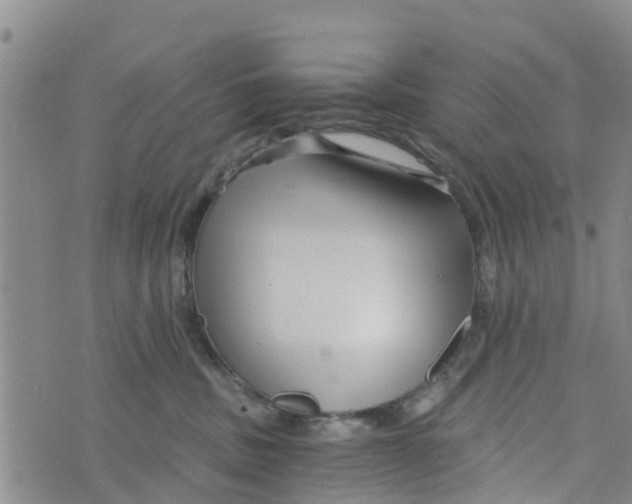 X0000073700379200608311736