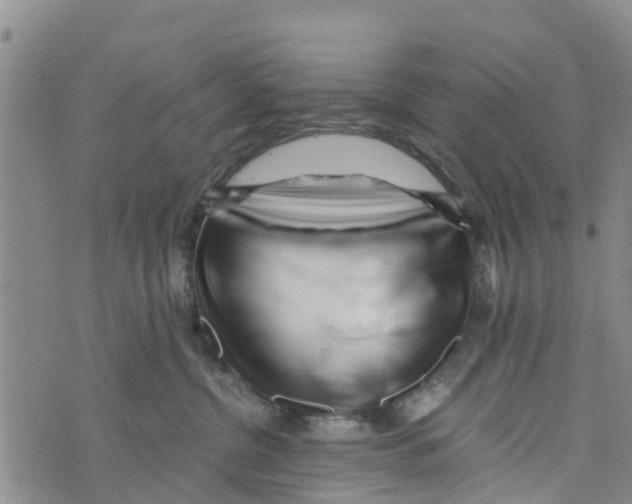 X0000073700380200608311736