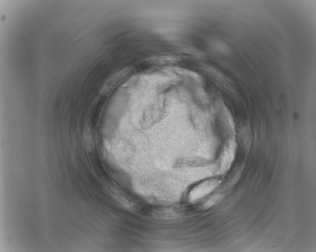 X0000073700381200608311736