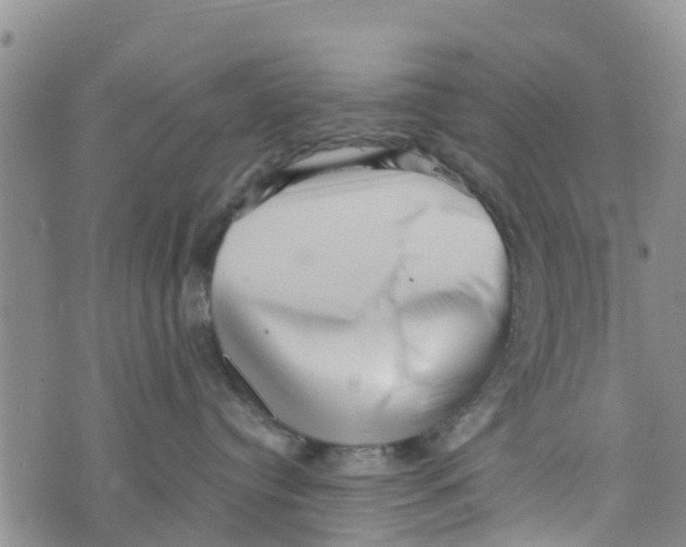 X0000073700384200608311736