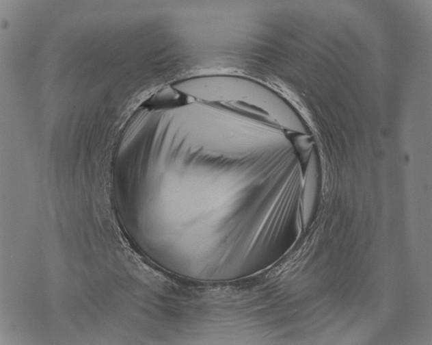 X0000073700385200608311735