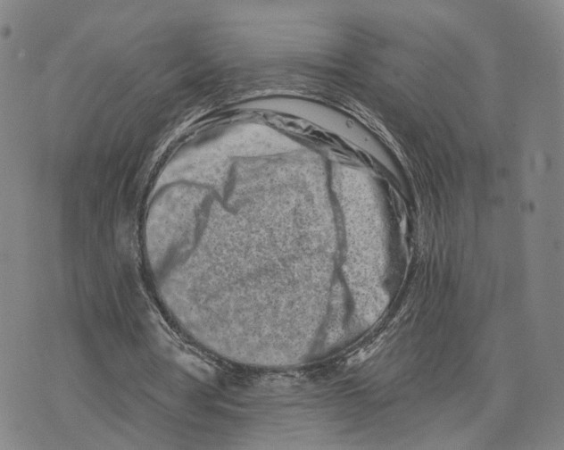 X0000073700386200608311735