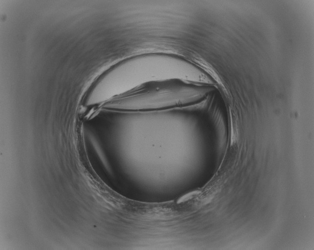 X0000073700387200608311735