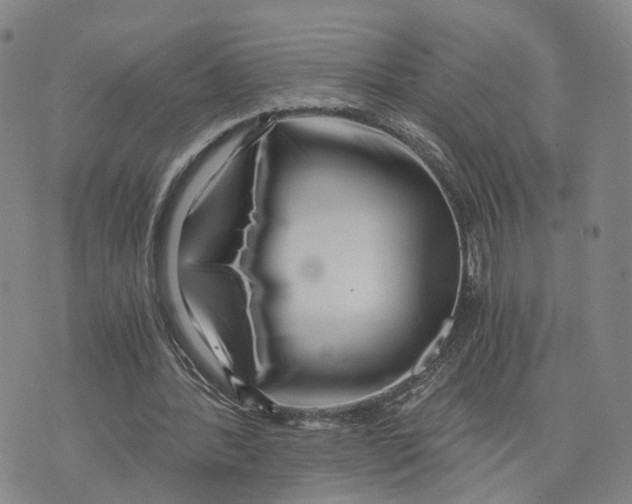 X0000073700388200608311735