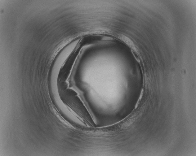 X0000073700389200608311735