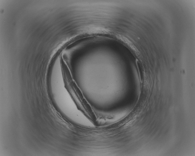 X0000073700391200608311735