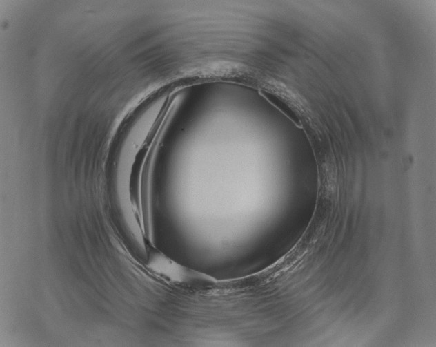 X0000073700392200608311735