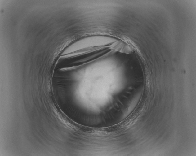 X0000073700393200608311735