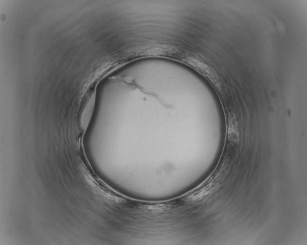 X0000073700394200608311735