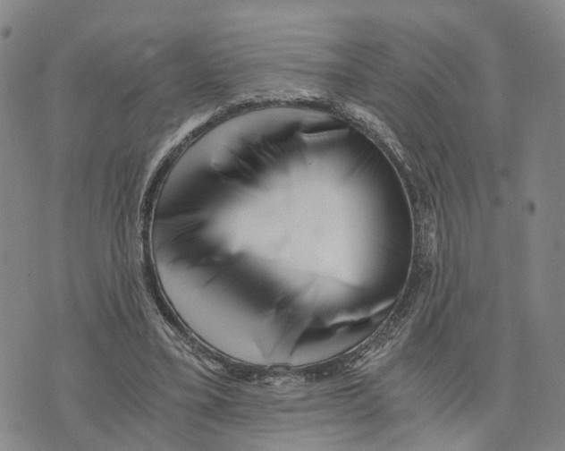 X0000073700395200608311735