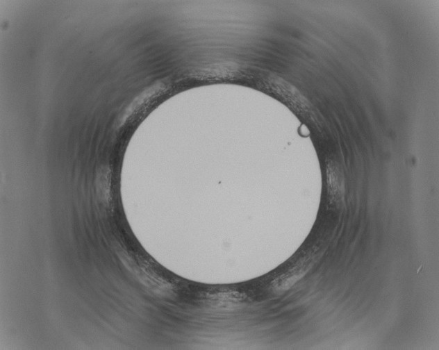 X0000073700396200608311735