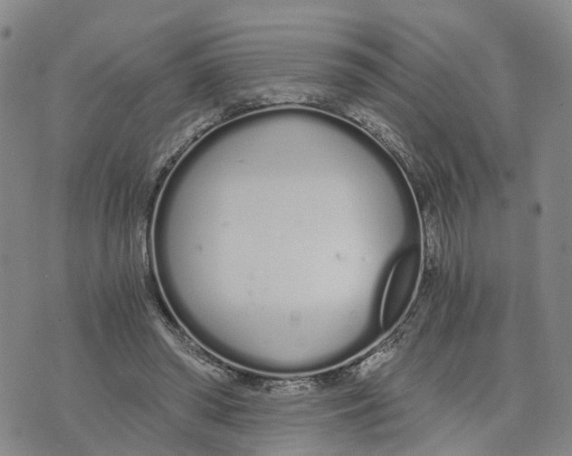 X0000073700398200608311735