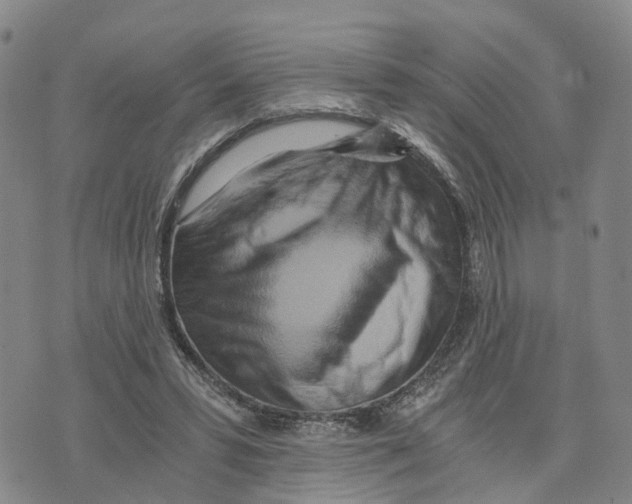 X0000073700399200608311735