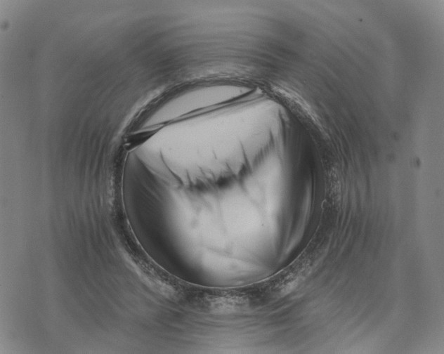 X0000073700400200608311735