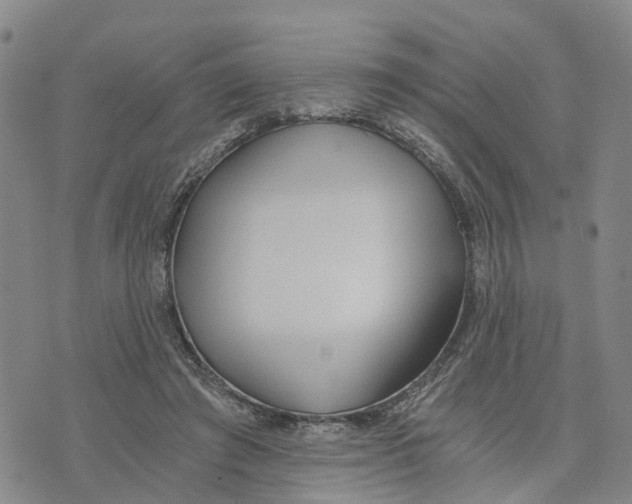 X0000073700401200608311735