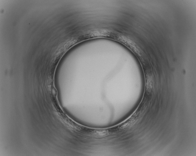 X0000073700402200608311735