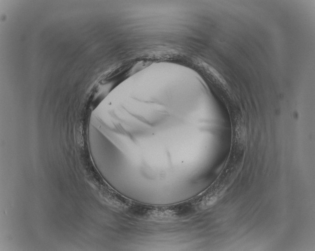 X0000073700403200608311735