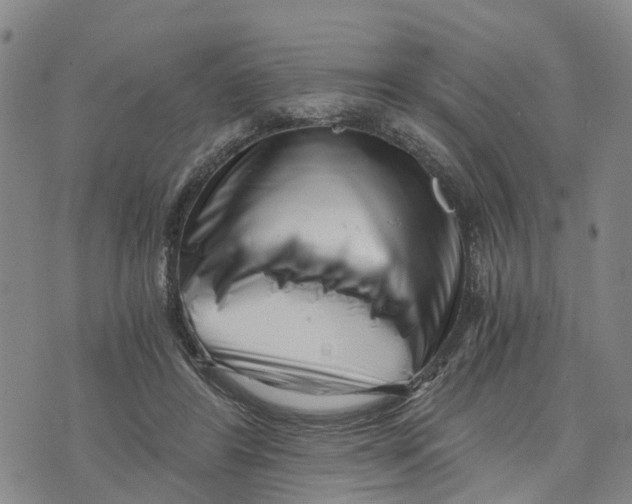 X0000073700404200608311735