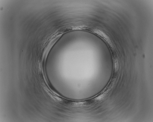 X0000073700405200608311735