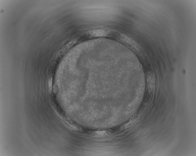 X0000073700406200608311735