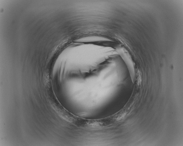 X0000073700407200608311735