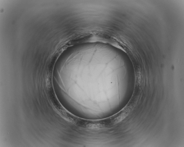 X0000073700408200608311735