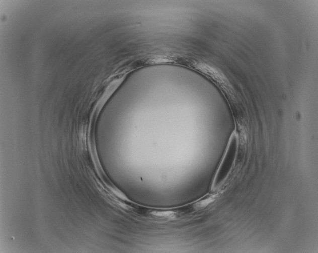 X0000073700409200608311735