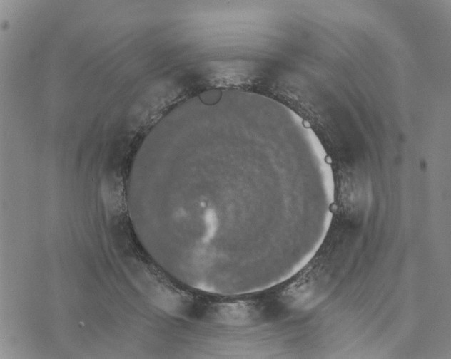 X0000073700411200608311735