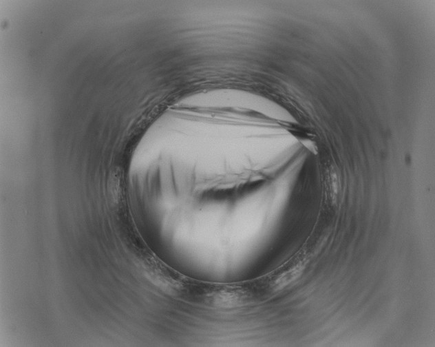 X0000073700412200608311734