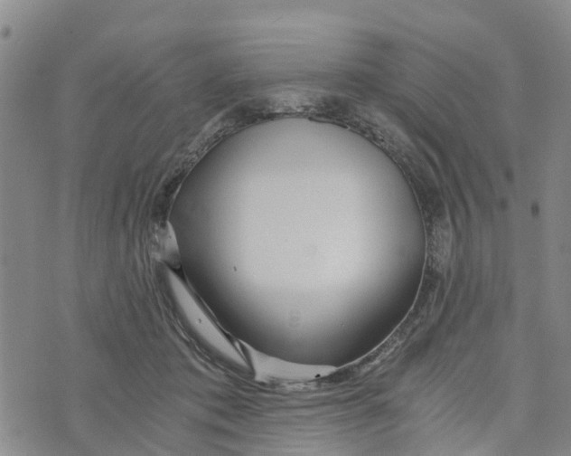 X0000073700413200608311734