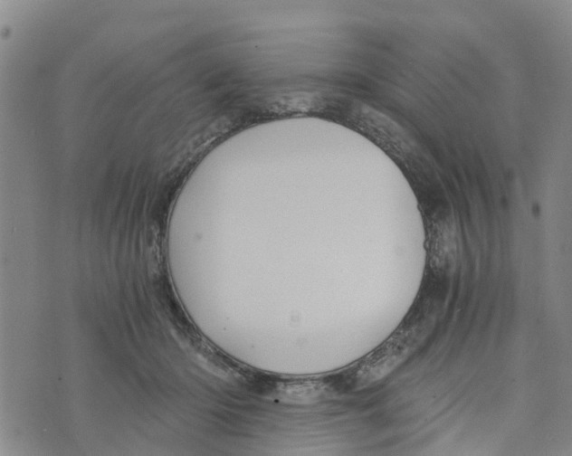 X0000073700414200608311734