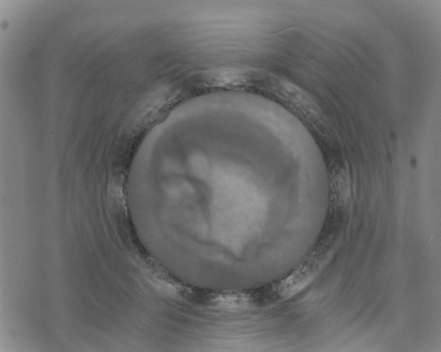 X0000073700415200608311734