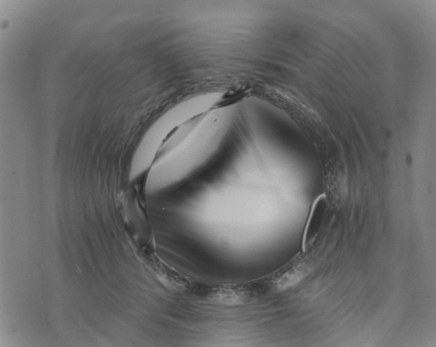 X0000073700416200608311734