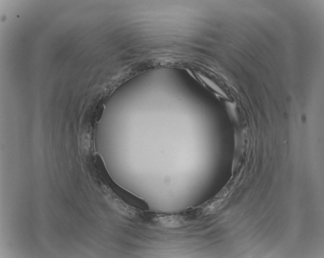 X0000073700417200608311734