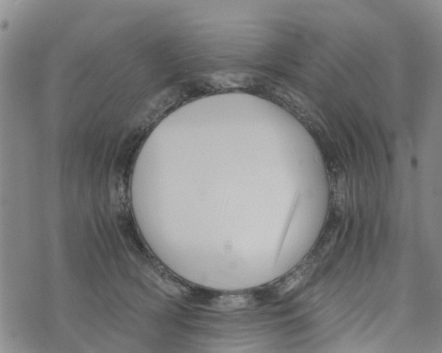 X0000073700418200608311734