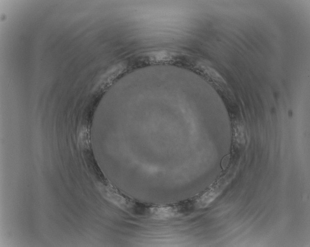 X0000073700419200608311734