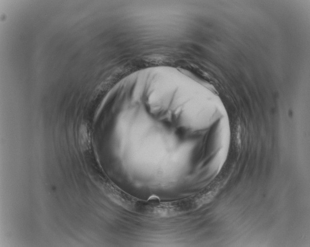 X0000073700420200608311734