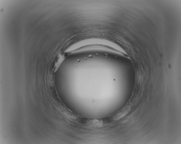 X0000073700421200608311734