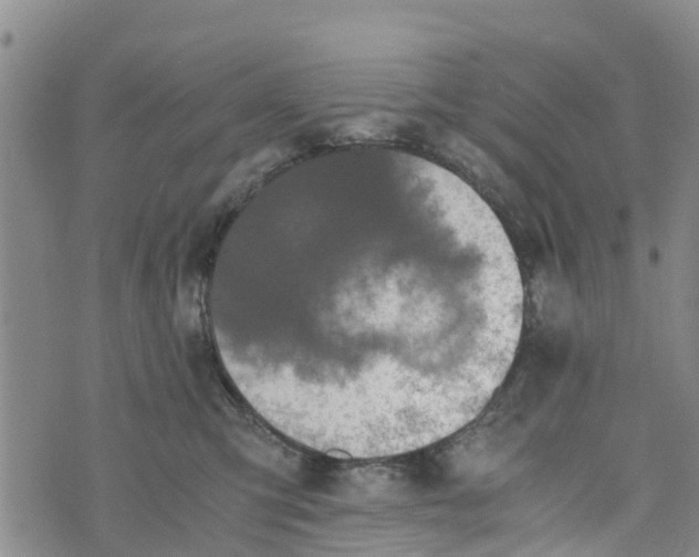 X0000073700423200608311734