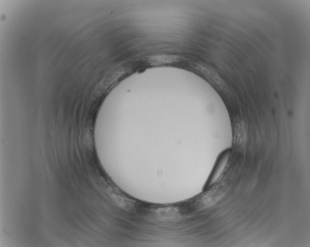 X0000073700426200608311734