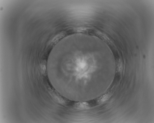 X0000073700427200608311734