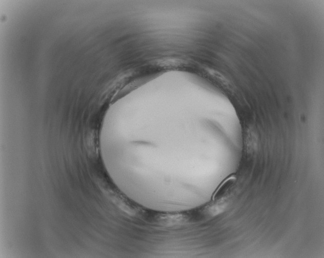 X0000073700428200608311734