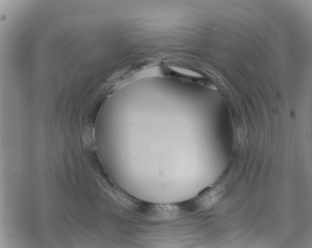 X0000073700429200608311734