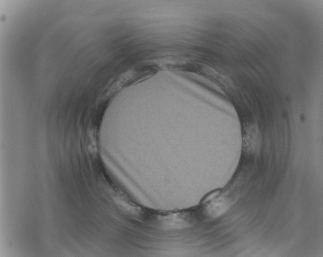 X0000073700430200608311734