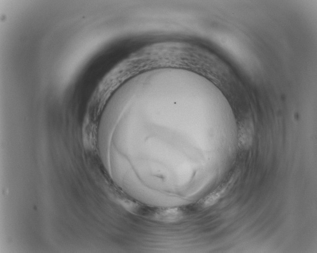 X0000073700431200608311734