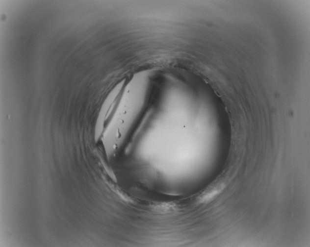 X0000073700432200608311734