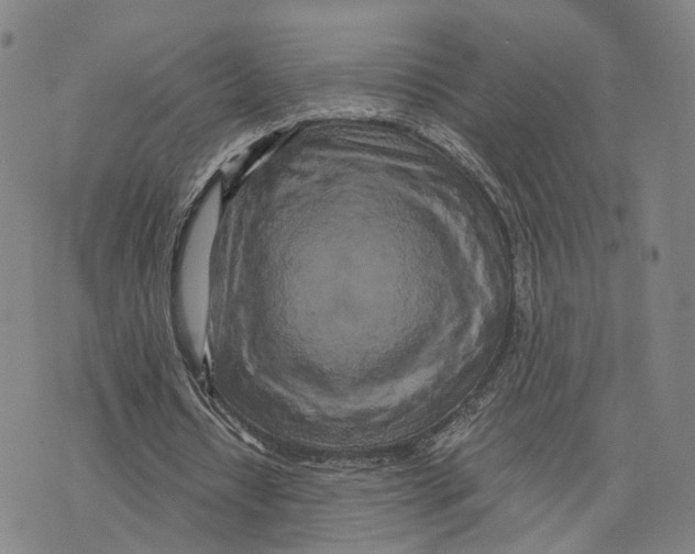 X0000073700434200608311733